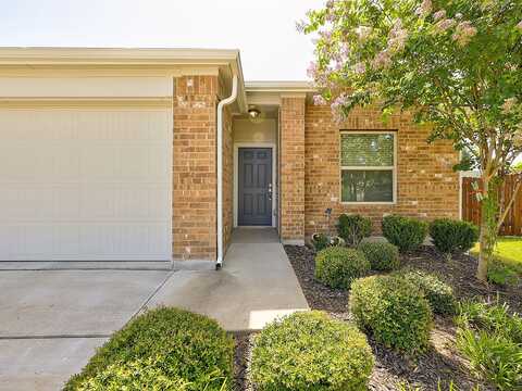 Jazzberry, DEL VALLE, TX 78617