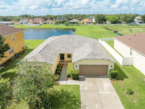 Hartford Fern, RIVERVIEW, FL 33569