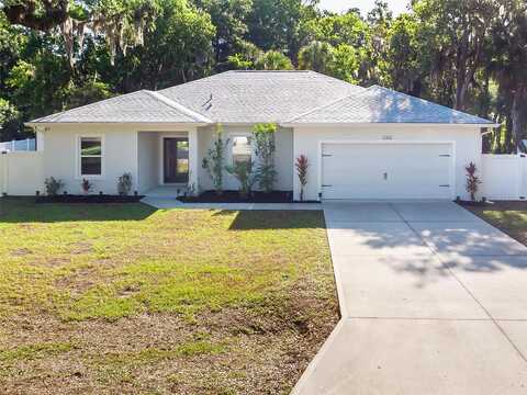 Mango Tree, EDGEWATER, FL 32141