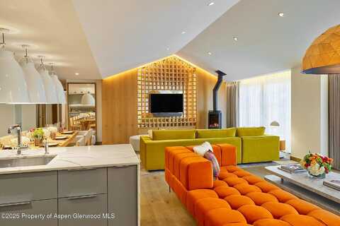 S Spring Street #F1-6, Aspen, CO 81611