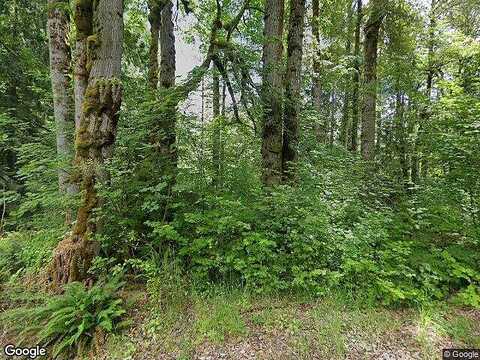 Jansky Road E, Graham, WA 98338