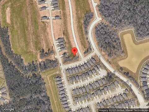 Scarlet Yaupon, CONROE, TX 77301