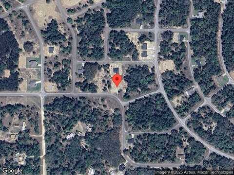 Guava Ter, Ocklawaha, FL 32179