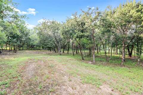 Sw Savanna Terrace Drive, Liberty Hill, TX 78642