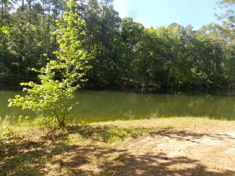 12 RIVERVIEW Court, Lincolnton, GA 30817