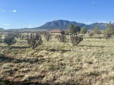 28 Calle Viernes, Edgewood, NM 87015