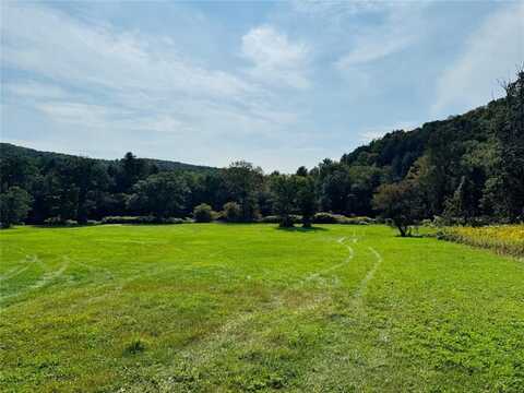 10-48 Evans Road, HANCOCK, NY 13783