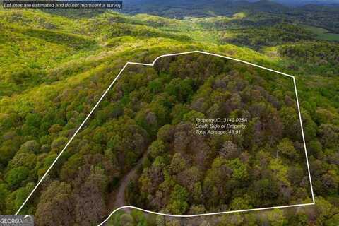 43.91 Old Burnt Mountain, Ellijay, GA 30540