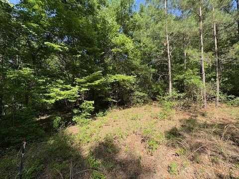 Lot 9 Moss Landing, Jesup, GA 31545