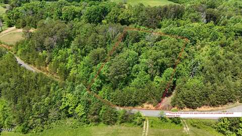 Lot 12 Mcgaha Chapel Rd Road, Cosby, TN 37722