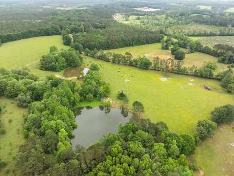 0 John Dennis Rd., Waynesboro, MS 39367