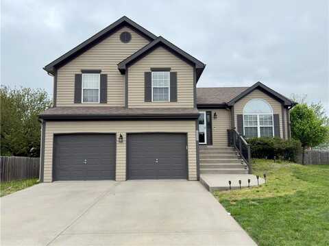 11235 N Summit Street, Kansas City, MO 64155