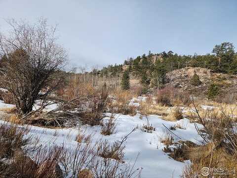 151 Ada Ct, Red Feather Lakes, CO 80545