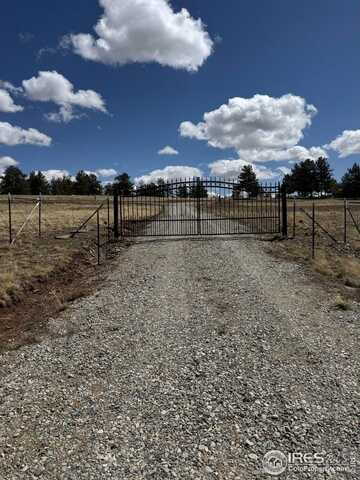 2841 Singletree Rd, Hartsel, CO 80449
