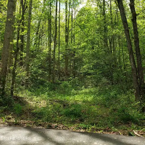King Rd, Gatlinburg, TN 37738