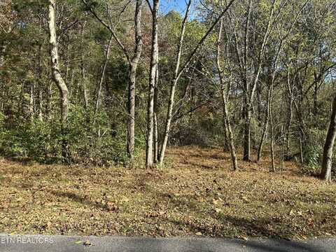 200 Wahuhu Lane, Loudon, TN 37774