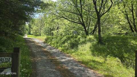 Dooley Hollow Rd, Ewing, VA 24248