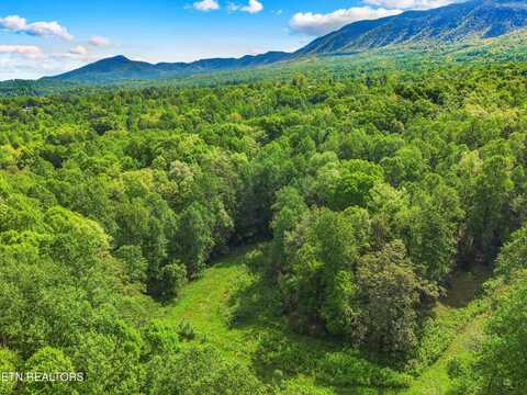 County Line Rd, Dandridge, TN 37725