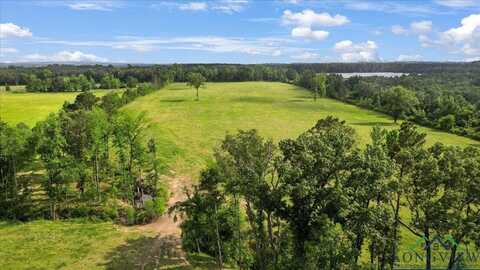 19071 FM 1252, Winona, TX 75792