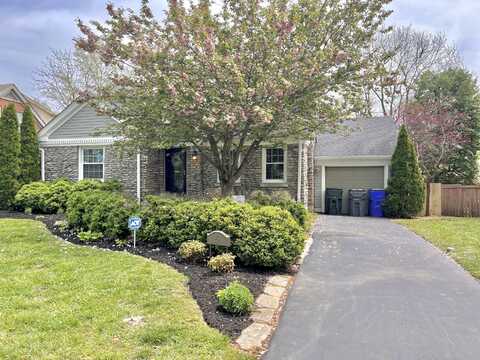 343 Cassidy Avenue, Lexington, KY 40502