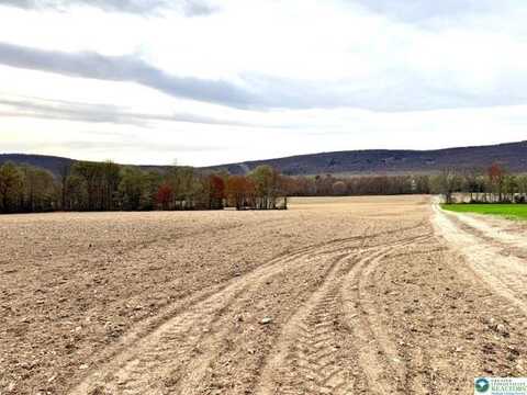 9170 North Loop Road, Washington, PA 18080