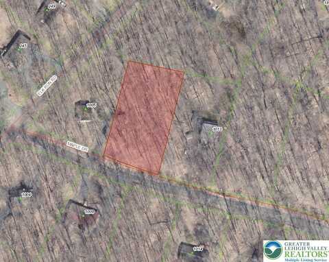 1009 Maple Drive, Tobyhanna, PA 18347