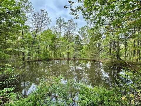0 Hank Lane, Dixon, MO 65459