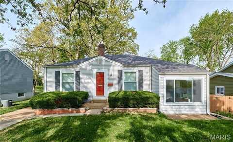 807 Selma Avenue, Saint Louis, MO 63119