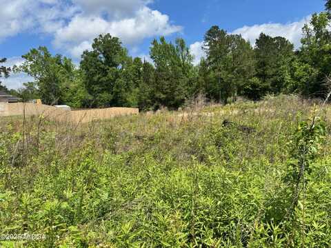 411 Big Oak Circle, Lizella, GA 31052