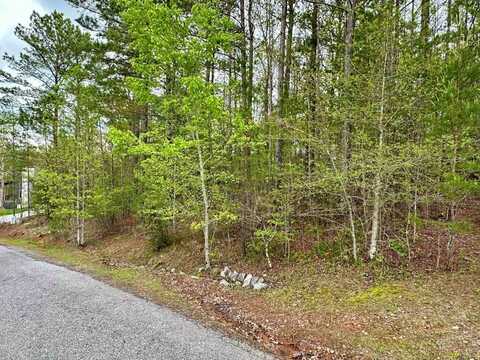 Lot 53 Brookhaven Drive, Blairsville, GA 30512