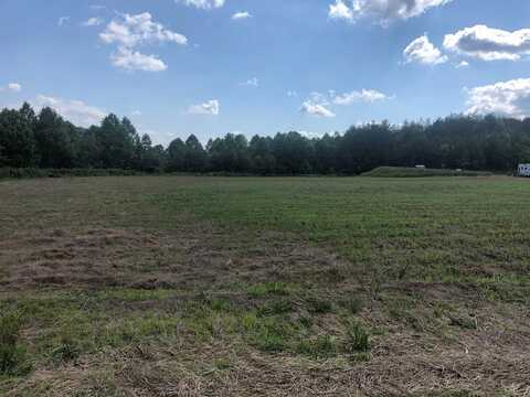 4 Blackhawk Drive, Blue Ridge, GA 30513