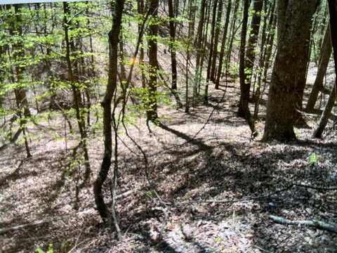 Othello Drive, Ellijay, GA 30540