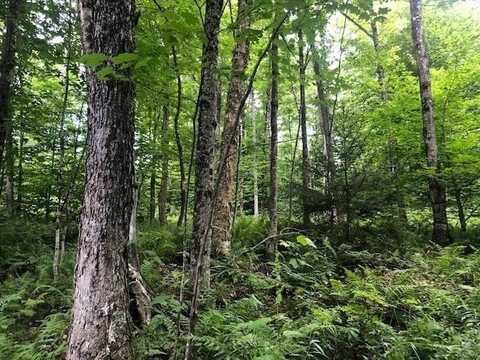 0 Jones Lane, Wolcott, VT 05680