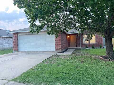 807 Encino Drive, Arlington, TX 76001