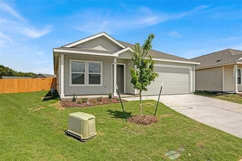 723 Pawpaw Drive, Princeton, TX 75407