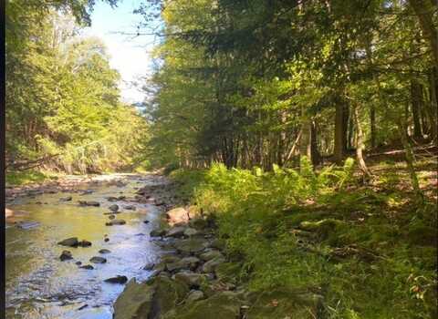 L14 and L1.9 County Hwy 10, Meredith, NY 13757