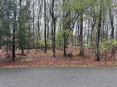 Birch Ln A30, East Stroudsburg, PA 18301