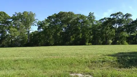Lot41 Fallen Leaf Dr, Poplarville, MS 39470