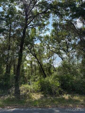 20 N Bradshaw Terrace, Inverness, FL 34453