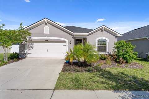 12905 Satin Lily Drive, Riverview, FL 33579