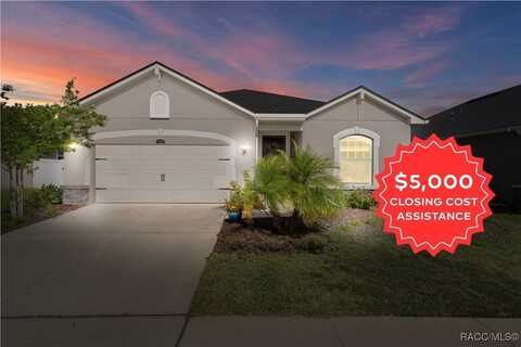 12905 Satin Lily Drive, Riverview, FL 33579