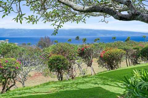 100 Ridge Rd, Lahaina, HI 96761