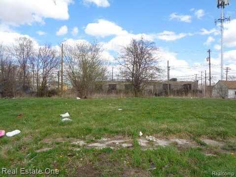 11670 SAINT LOUIS Street, Hamtramck, MI 48212