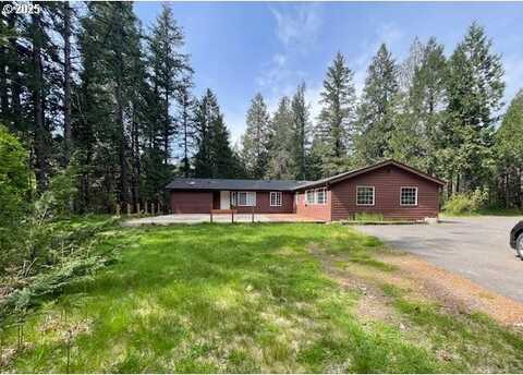 54785 McKenzie River DR, Blue River, OR 97413