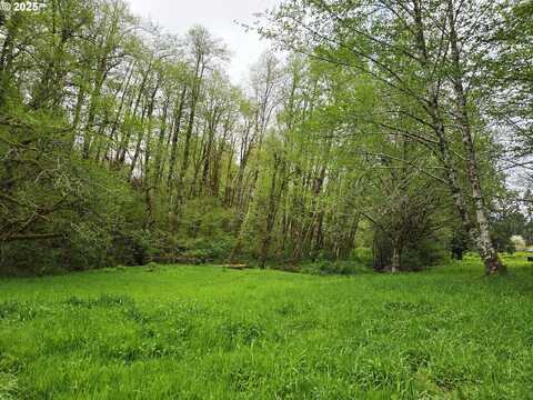 82467 CROWDER RD, Seaside, OR 97138