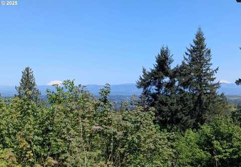 10469 SE QUAILRIDGE DR, Happy Valley, OR 97086