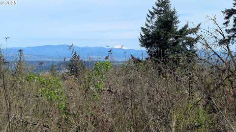 10469 SE QUAILRIDGE DR, Happy Valley, OR 97086