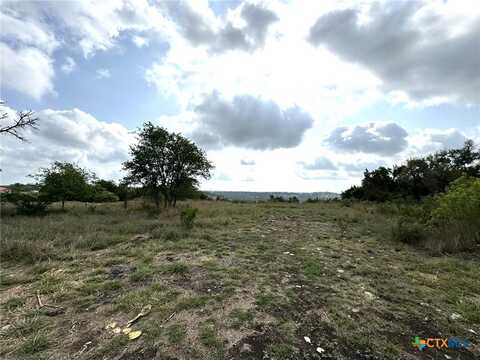 1282 Balcones Drive, Fredericksburg, TX 78624
