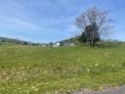 Tbd Mesa Drive, Lebanon, VA 24266