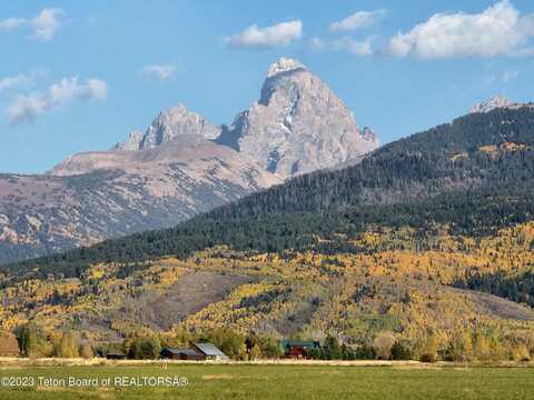1739 WILDFLOWER Way, Driggs, ID 83422